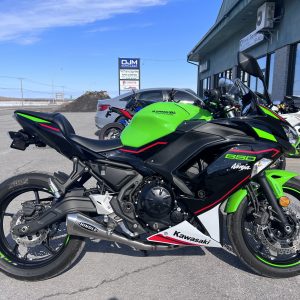 Hindle - 2017-2022 KAWASAKI NINJA 650R/VERSYS/ER-6N/Z650 EVO MEGAPHONE FULL SYSTEM